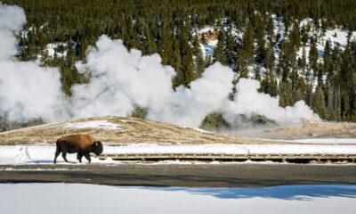 Yellowstone avertit les voyageurs d'éviter de porter ce type de tissu dans le parc en hiver