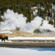 Yellowstone avertit les voyageurs d'éviter de porter ce type de tissu dans le parc en hiver
