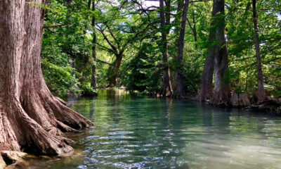 Ce charmant « petit coin de paradis » dans la région des collines du Texas possède des trous de baignade pittoresques