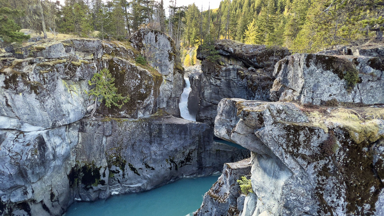 La rivière Verte du parc provincial Nairn Falls, Canada, entourée de montagnes rocheuses