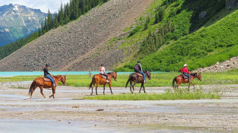 Visite guidée à cheval de Banff