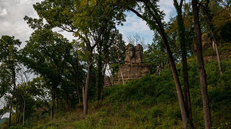belle vue sur la forêt au parc national Mississippi Palisades