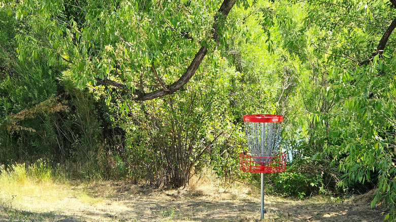 Trou de golf sur disque au parc national d'Eagle Island, Idaho