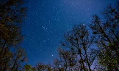 La réserve nationale de Floride, entre Miami et Naples, offre une observation spectaculaire des étoiles dans le ciel nocturne