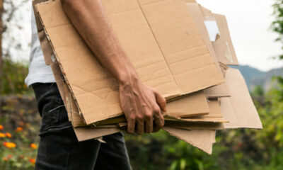 Pourquoi les gens mettent du carton dans leurs jardins