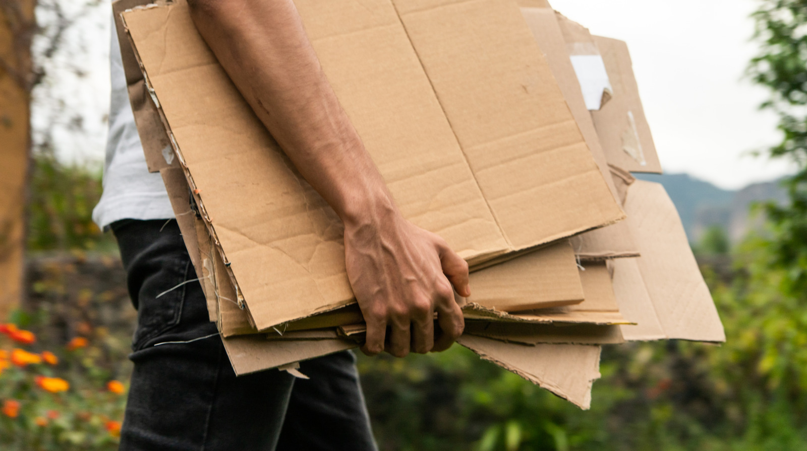 Pourquoi les gens mettent du carton dans leurs jardins