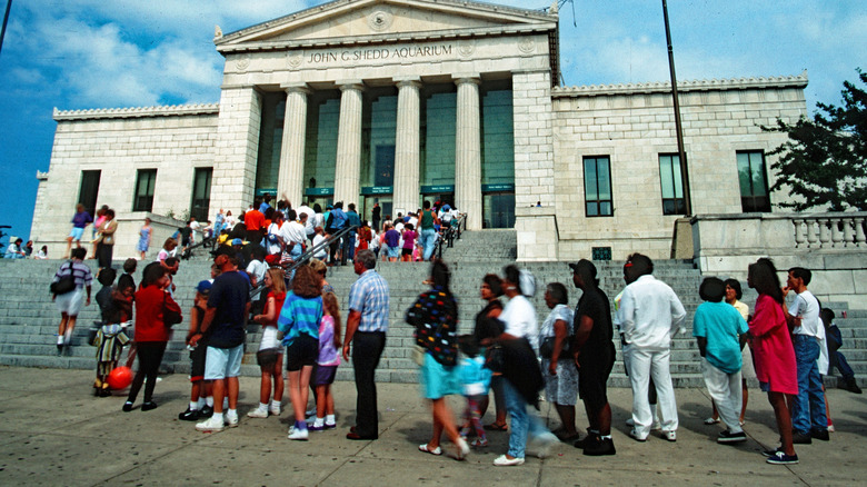 Les gens font la queue pour entrer dans l’aquarium Shedd