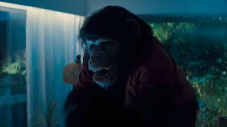 Ben bave de colère sur la table du dîner dans Primate