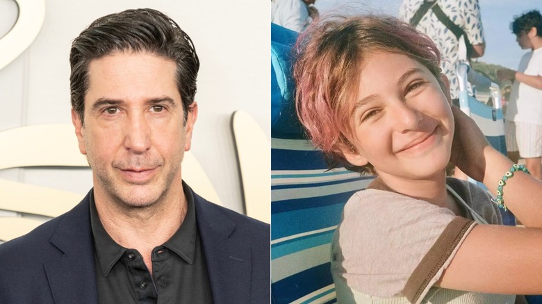David Schwimmer et Cléo Buckman Schwimmer