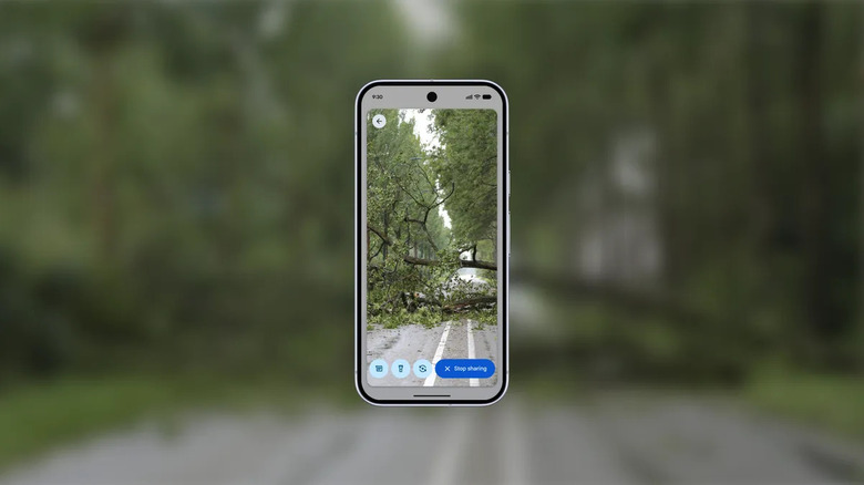 Téléphone prenant une vidéo d'un arbre tombé avec la vidéo Android Emergency Live