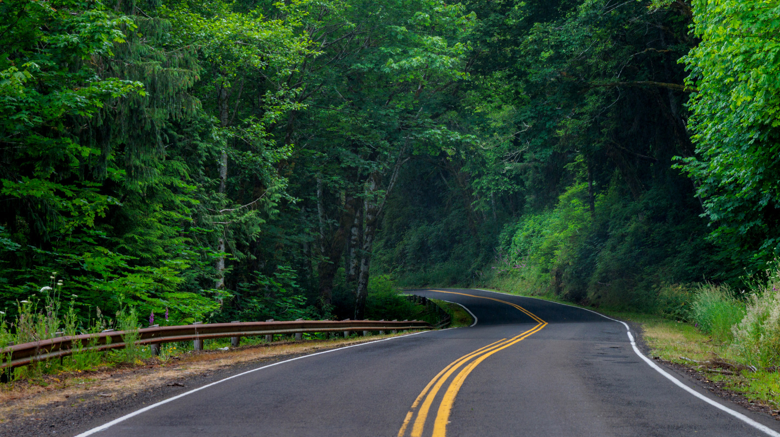 La route panoramique de l'Oregon offre des sentiers de randonnée avec vue sur la côte