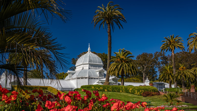 Des coquelicots rouges et de grands palmiers encadrent les dômes blancs de style victorien du Conservatoire des Fleurs de San Francisco