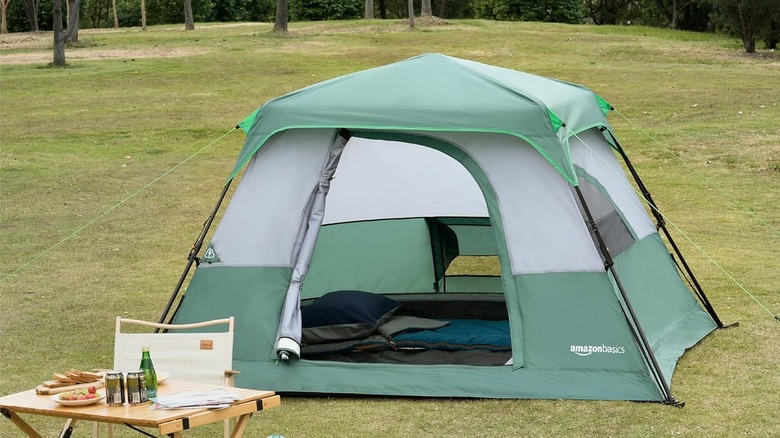 Tente de camping instantanée Amazon Basics dans un champ herbeux