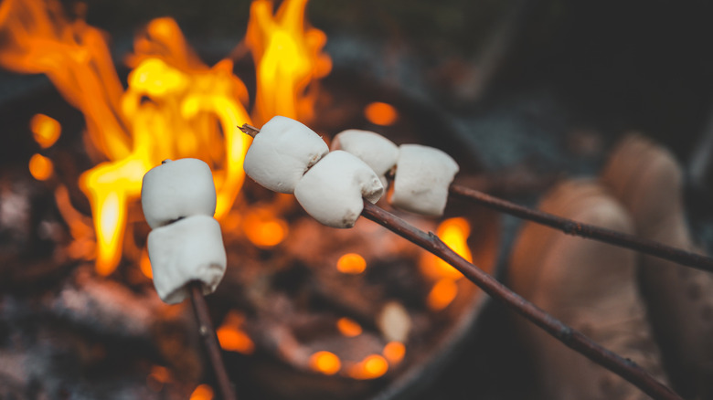 Faire rôtir des s'mores sur un feu de camp