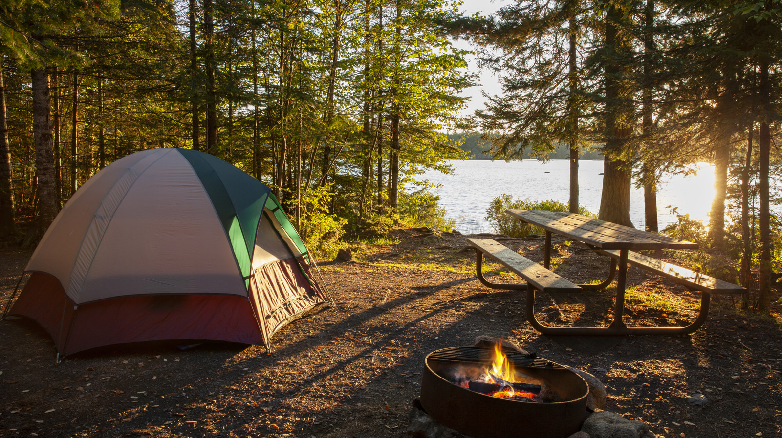 5 essentiels de camping dont vous souhaiterez toujours avoir apporté plus