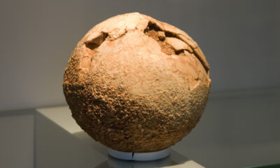 La découverte d’œufs de dinosaures qui cachait une surprise que personne n’avait vue venir