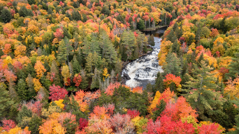 Vue aérienne de la forêt sauvage de Buttermilk Falls Sargent Ponds entourée de feuillage d'automne à Long Lake, New York