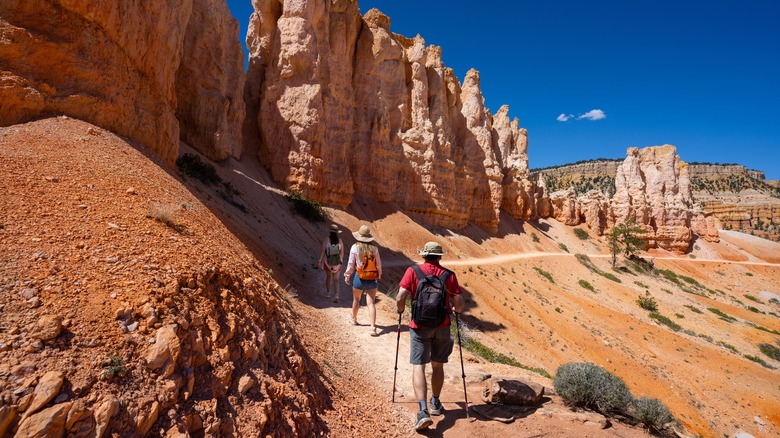 amis en randonnée dans le parc national de Bryce Canyon, Utah.