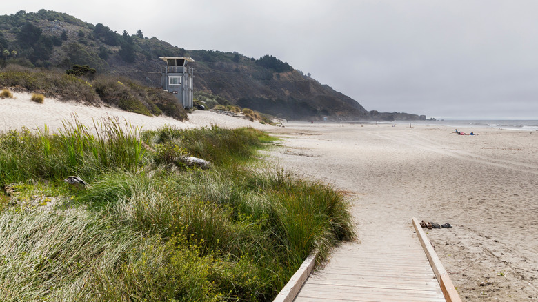 Une photo brumeuse de Stinson Beach le matin