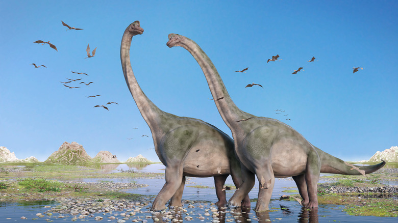 illustration numérique de sauropodes et de ptérosaures
