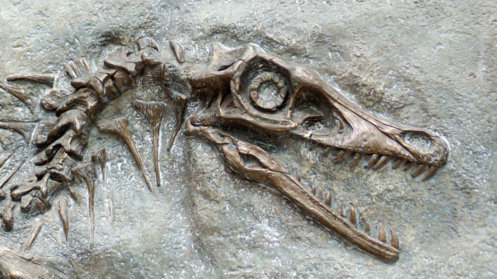 Cette découverte de dinosaures a amené les scientifiques à repenser leur mode de vie