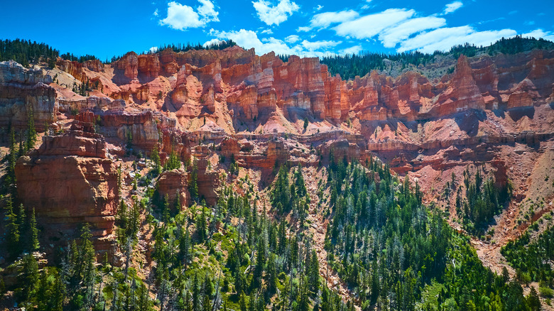 Paysage de la forêt nationale Dixie, Cedar City, UT