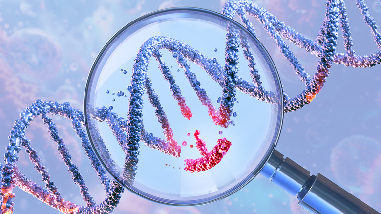 coupe d’ADN au microscope.