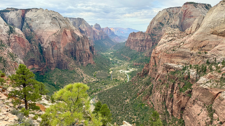 Vue sur les montagnes du parc national de Zion