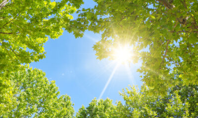 La raison surprenante pour laquelle certaines personnes éternuent quand elles regardent le soleil