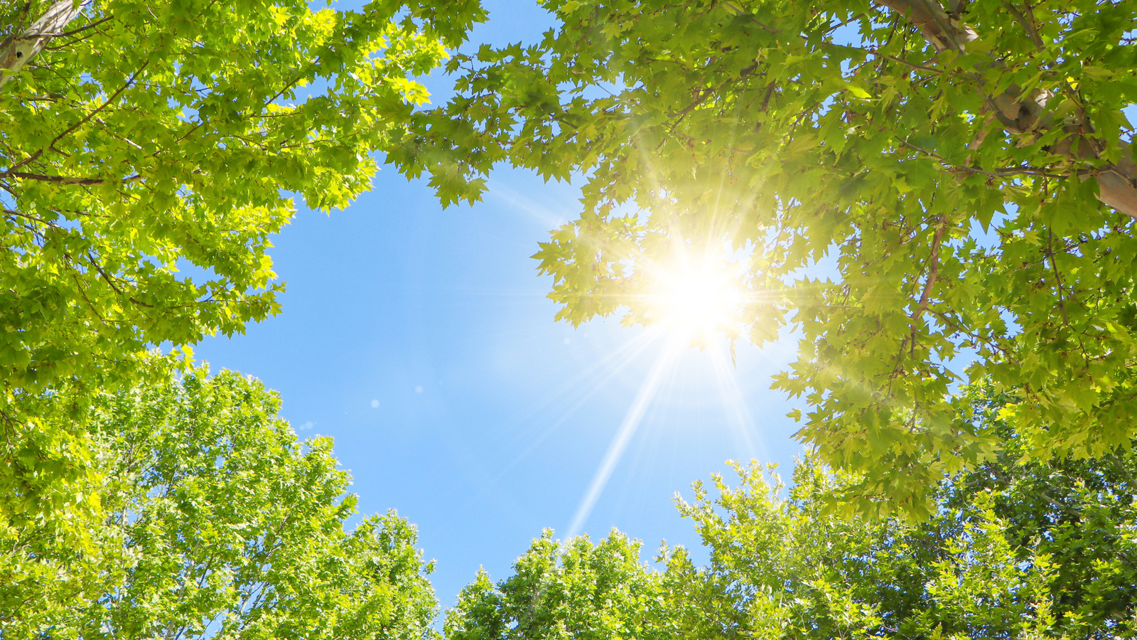 La raison surprenante pour laquelle certaines personnes éternuent quand elles regardent le soleil