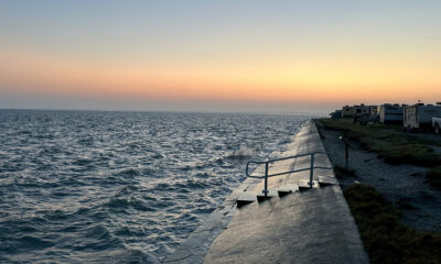 Un parc d'État insulaire sous-estimé au Texas est un joyau caché avec des fleurs sauvages et des vues panoramiques