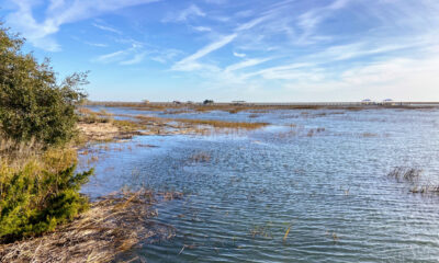 Cette plage américaine sous le radar est l'endroit idéal pour observer la faune