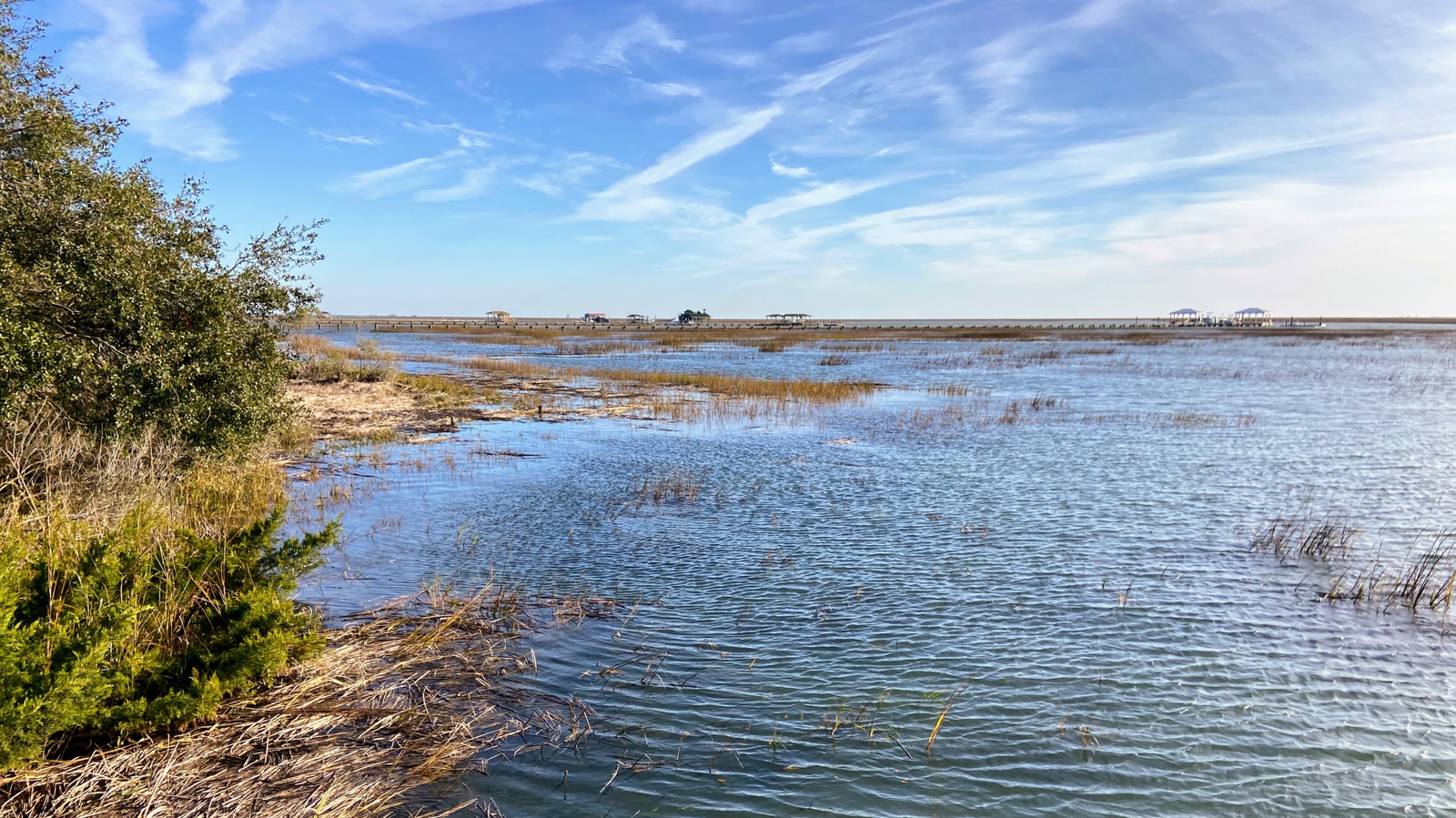 Cette plage américaine sous le radar est l'endroit idéal pour observer la faune