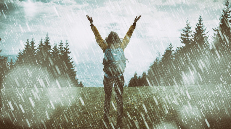 Randonneur en forêt un jour de pluie