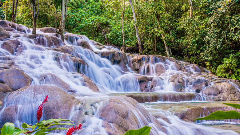 Cascade de la rivière Dunn avec vue sur les rochers et les arbres