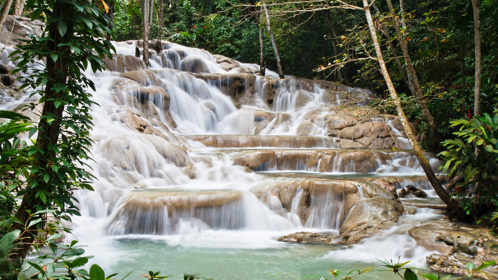 De magnifiques sentiers de randonnée en cascade vous attendent dans cette destination éblouissante des îles des Caraïbes