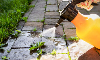 Pourquoi les gens aspergent leur terrasse de vinaigre (et la science le confirme-t-elle ?)