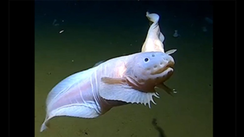 Photo prise en profondeur sous l'eau