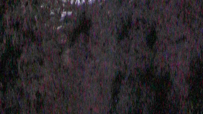 Camping sous les étoiles au parc national Dry Tortugas