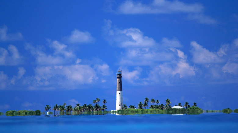 Clé caouanne, PN Dry Tortugas