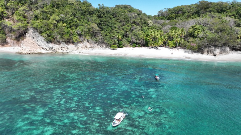 Une vue aérienne de l'eau turquoise et de la jungle le long de Playa Quesera dans la réserve faunique de Curú