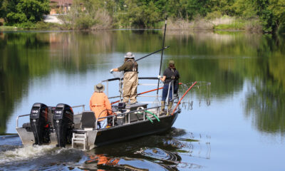 La principale raison pour laquelle les scientifiques électrocutent les lacs américains
