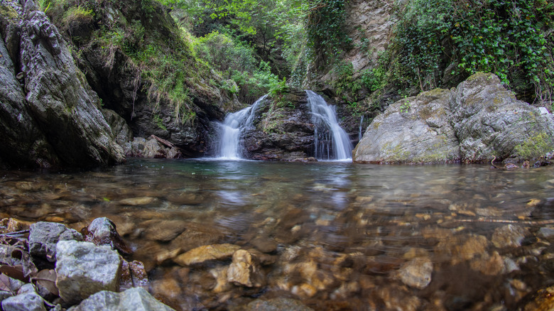 une cascade dans le parc national de l'Aspromonte en Calabre, Italie
