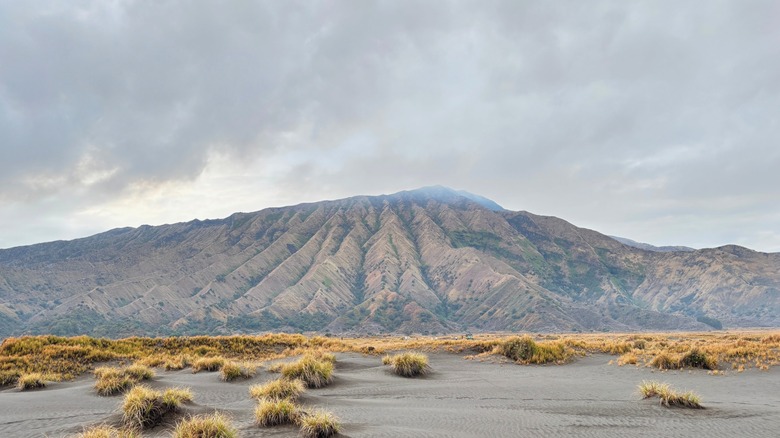 Volcan Bromo avec étendue de sable noir en premier plan