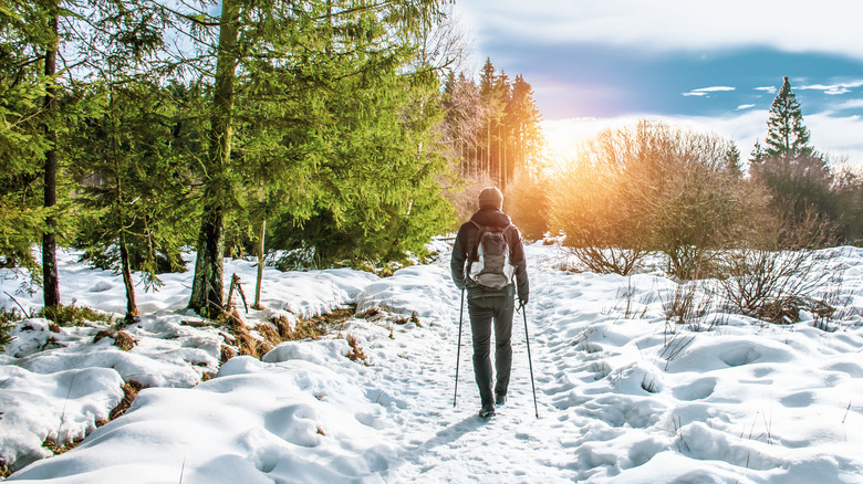 un homme profite d'une douce randonnée d'hiver en Belgique