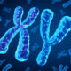 La bouée de sauvetage génétique que les hommes vieillissants perdent (et pourquoi cela compte plus que vous ne le pensez)