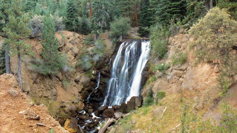 Une cascade en cascade dans la forêt