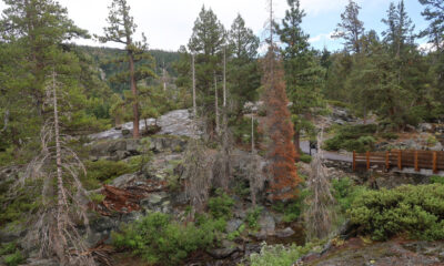 Des campings, des sentiers et des activités de plein air entourent cette ville de montagne de la Sierra Nevada en Californie