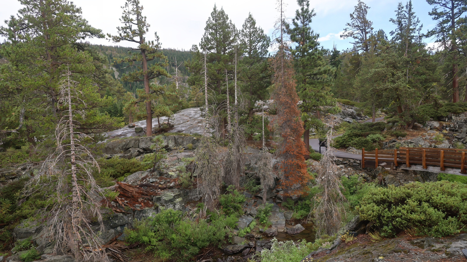 Des campings, des sentiers et des activités de plein air entourent cette ville de montagne de la Sierra Nevada en Californie