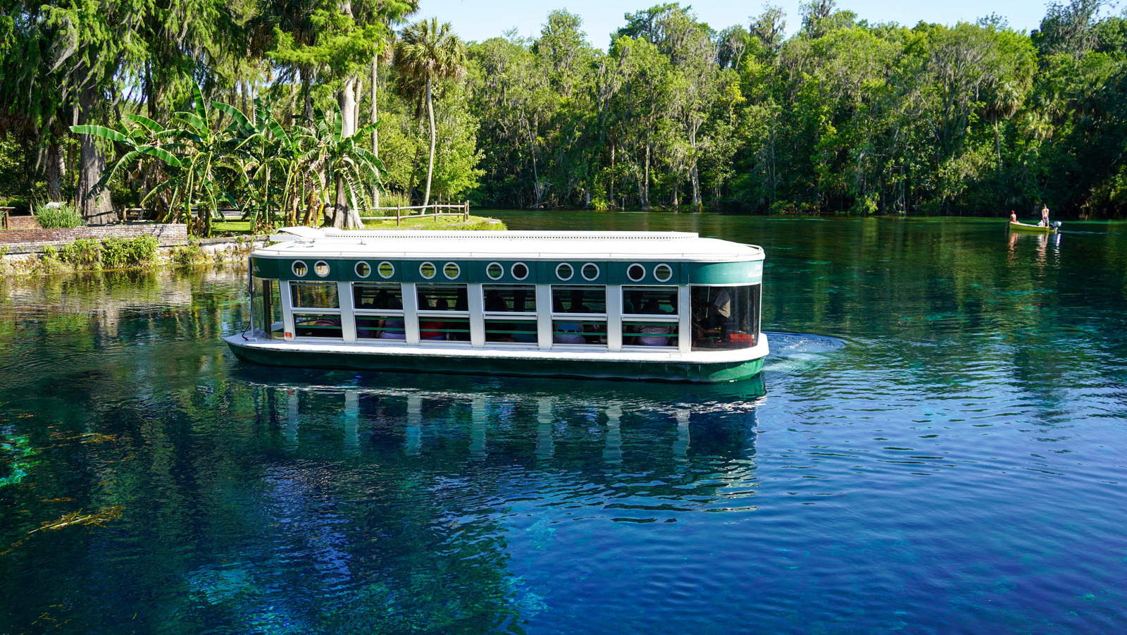 Ce parc d'État de Floride propose d'éblouissantes excursions en bateau à fond de verre vers des sources cristallines